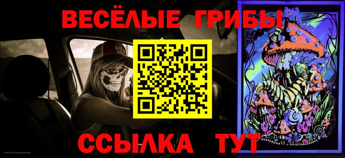 Сердобск  Псилоцибиновые грибы Psilocybine cubensis  Вход с VPN  Галлюциногенные грибы Magic Shrooms 