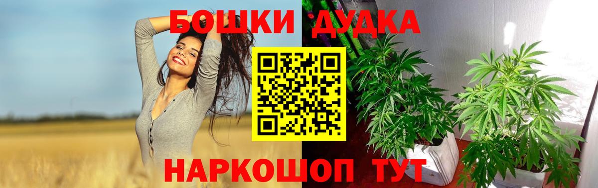 Бошки Шишки Bruce Banner  Бошки Шишки марихуана  Сердобск  Вход с VPN 